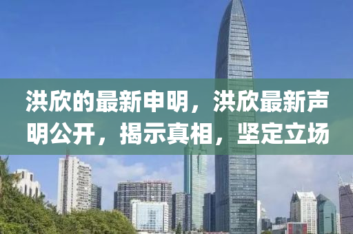 洪欣的最新申明,洪欣最新声明公开,揭示真相,坚定立场中山市多米克自动化设备有限公司