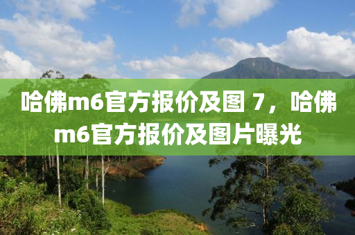 哈佛m6官方报价及图 7,哈佛m6官方报价及图片曝光中山市多米克自动化设备有限公司