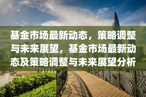 基金市场最新动态,策略调整与未来展望,基金市场最新动态及策略调整与未来展望分析中山市多米克自动化设备有限公司