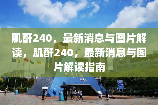 肌酐240,最新消息与图片解读,肌酐240,最新消息与图片解读指南中山市多米克自动化设备有限公司