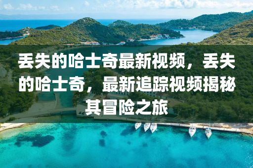 丢失的哈士奇最新视频,丢失的哈士奇,最新追踪视频揭秘其冒险之旅中山市多米克自动化设备有限公司