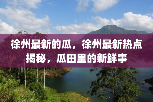 徐州最新的瓜,徐州最新热点揭秘,瓜田里的新鲜事中山市多米克自动化设备有限公司