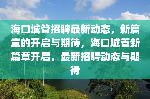 海口城管招聘最新动态,新篇章的开启与期待,海口城管新篇章开启,最新招聘动态与期待中山市多米克自动化设备有限公司