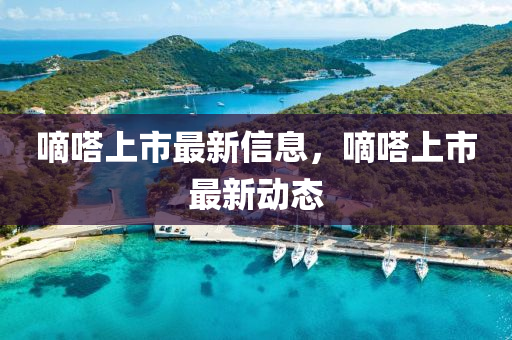 嘀嗒上市最新信息,嘀嗒上市最新动态中山市多米克自动化设备有限公司