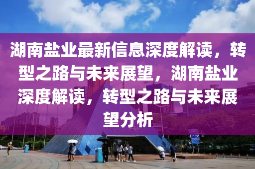 湖南盐业最新信息深度解读,转型之路与未来展望,湖中山市多米克自动化设备有限公司南盐业深度解读,转型之路与未来展望分析
