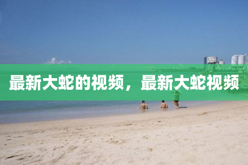77777888管家婆四肖四码揭秘芳草规范释义、专家解析解释与落实,抵制欺骗承诺套路