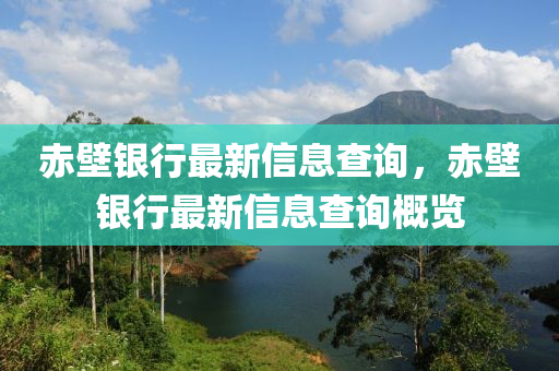 中山市多米克自动化设备有限公司赤壁银行最新信息查询,赤壁银行最新信息查询概览