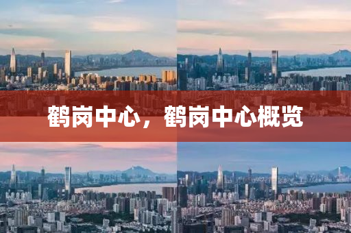 鹤岗中心,鹤岗中心概览中山市多米克自动化设备有限公司