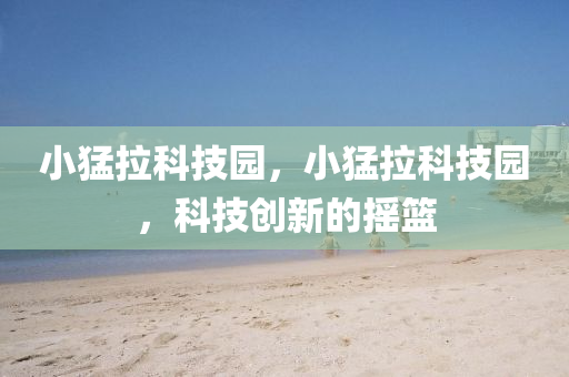 2025新澳或香港芳草地资料-科学释义、解释与落实,留心误导的假广告梦